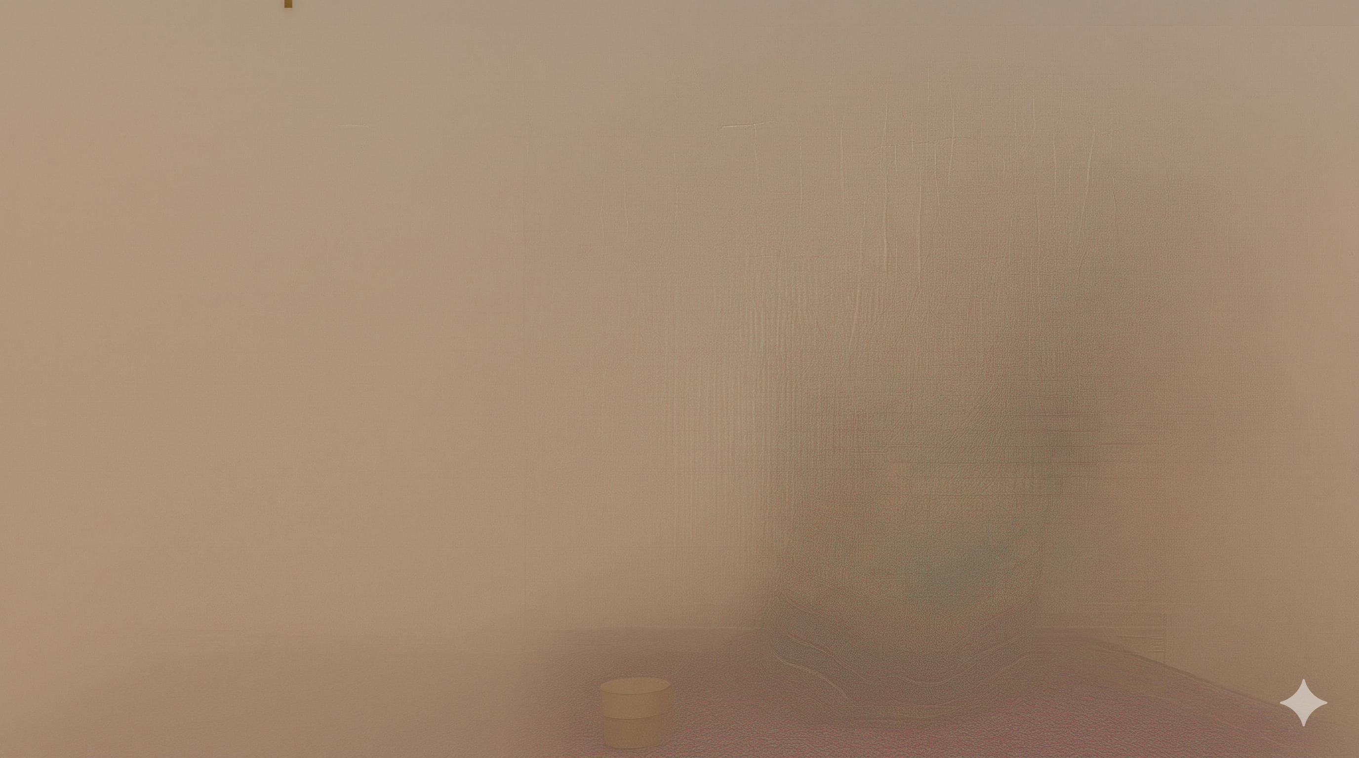 Saree Banner